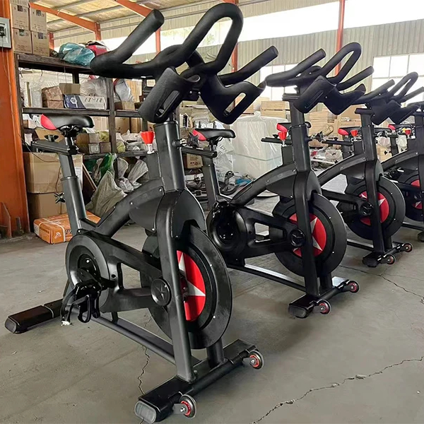 Professional Indoor Cycling Bi - Exercise Bike Magnetic Resistance ulasan dan harga