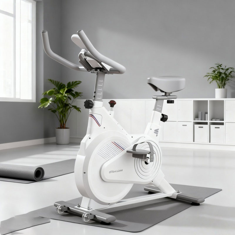Indoor Stationary Spin Bike, S - Exercise Bike Magnetic Resistance ulasan dan harga